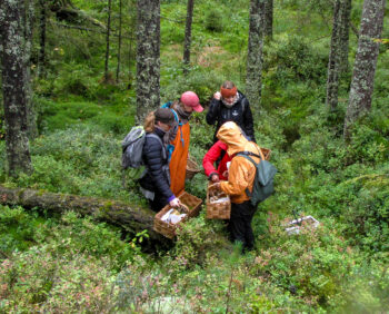 Grupp personer i en skog, med svampkorgar i händerna.