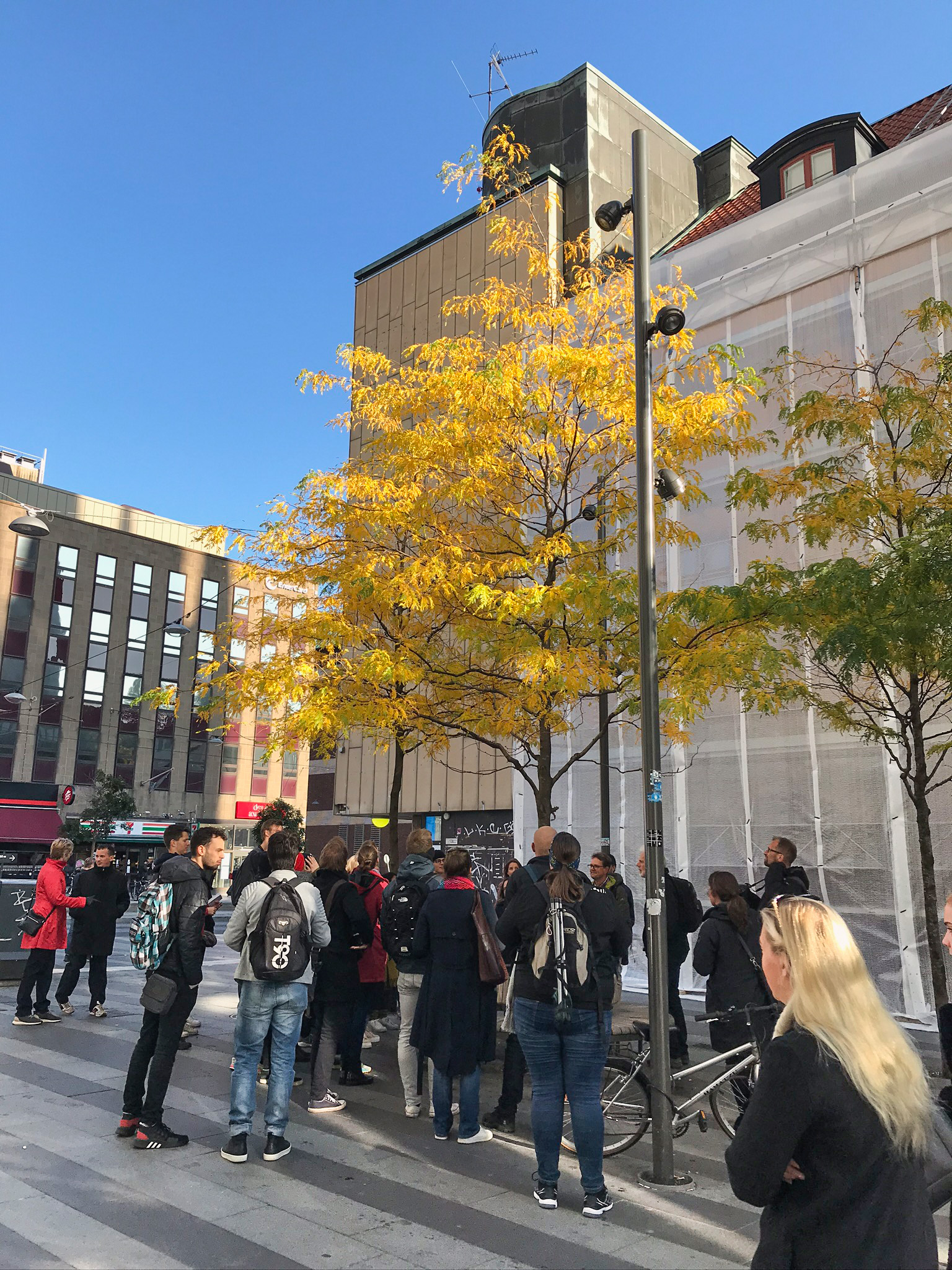 En grupp människor på en stadsgata, står vid ett ungt träd med gula blad. Foto.