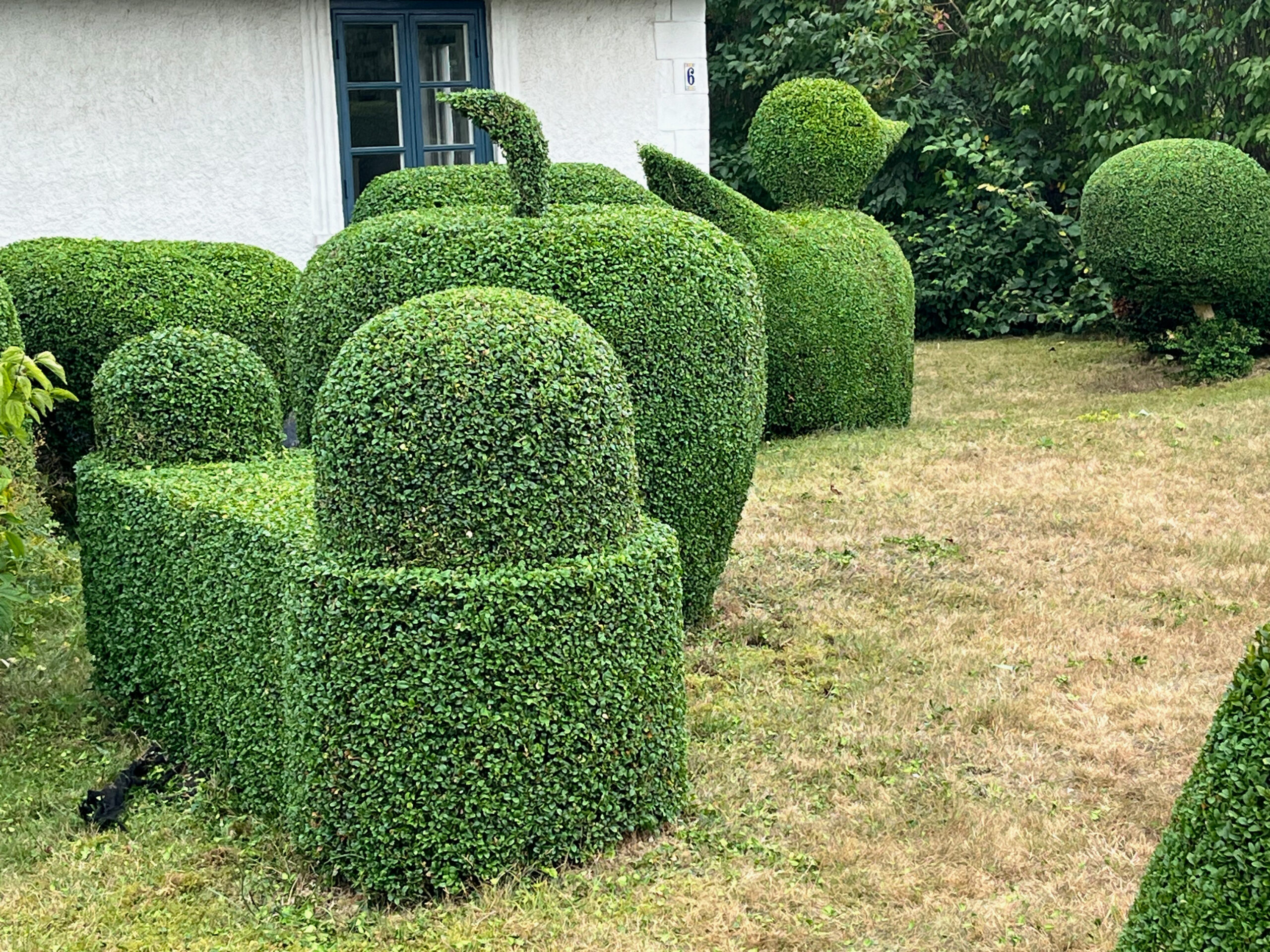 En trädgård med hårt klippta buskar i olika former. Foto.