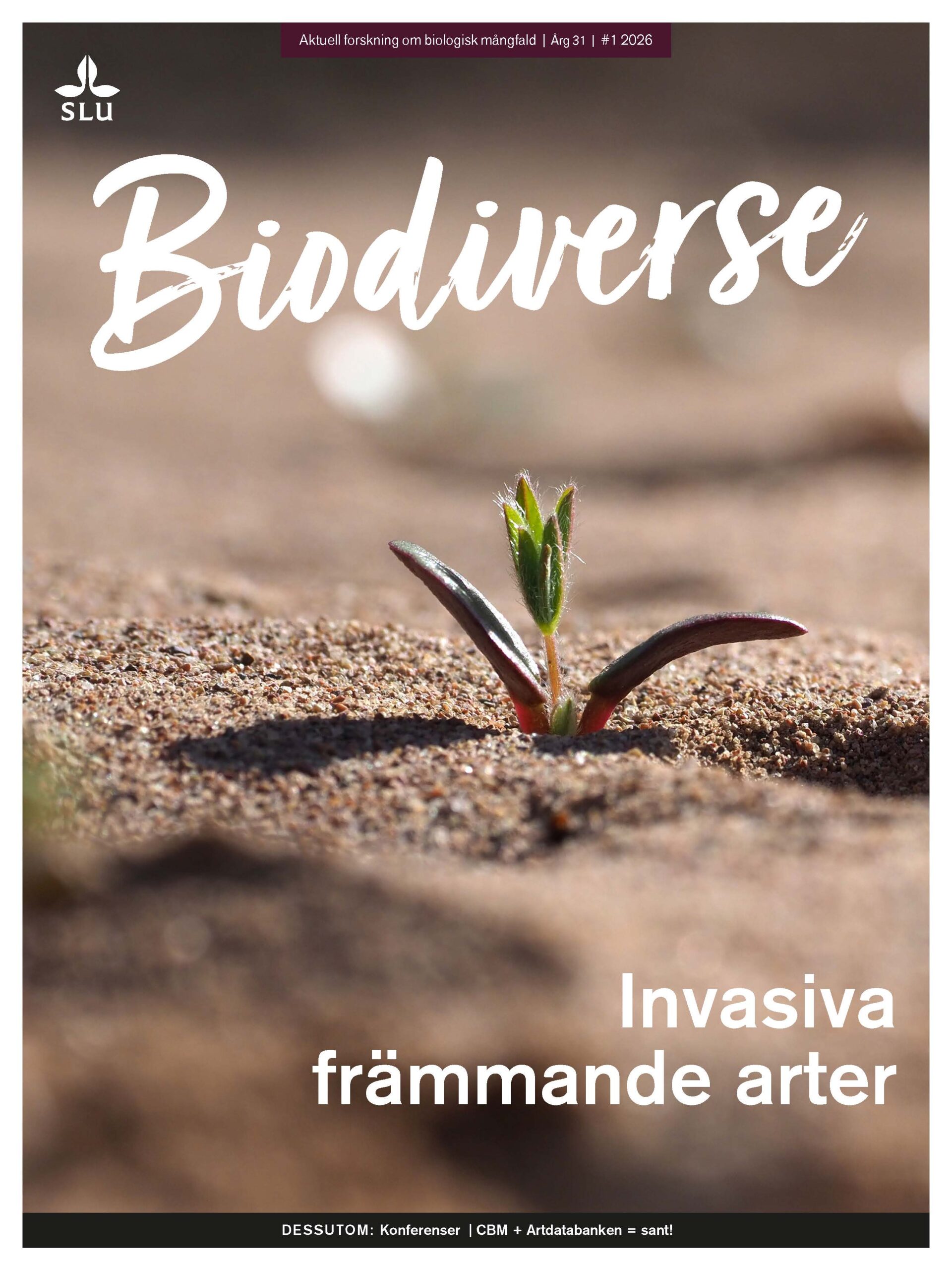 Omslag för NR 1 2026 | ÅRG 31, tema: Invasiva främmande arter