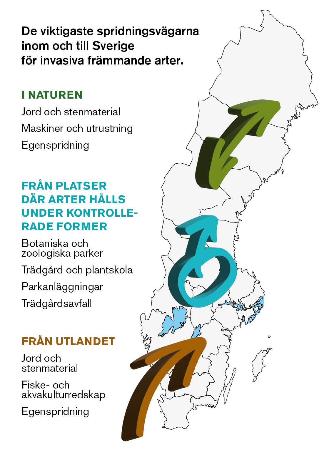Sverigekarta med tre pilar som visar hur arter kan spridas på tre olika sätt. Illustration. 