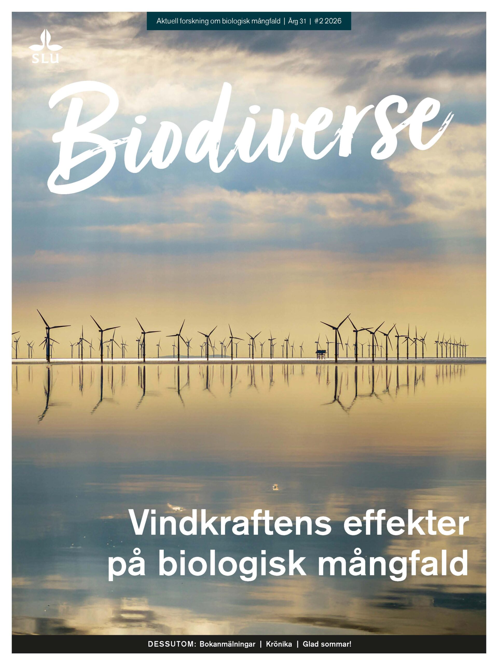 Omslag för NR 2 2026 | ÅRG 31, tema: Vindkraftens effekter på biologisk mångfald